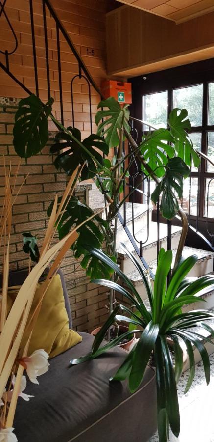リンゲンHaus Am Brunnenアパートメント エクステリア 写真